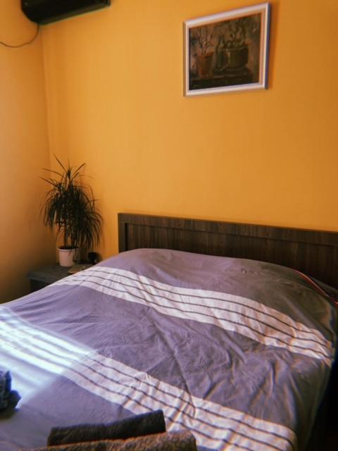 Home Away Home In Heart Of Tbilisi Exterior foto